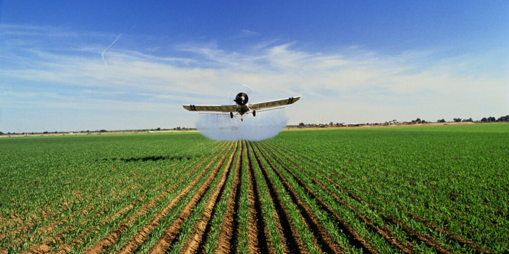 Hogere landbouwopbrengsten dankzij ziektewerende schimmels
