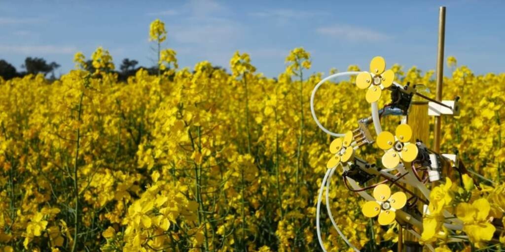 Is een piepkleine 'sticky drone' de oplossing voor bijensterfte?