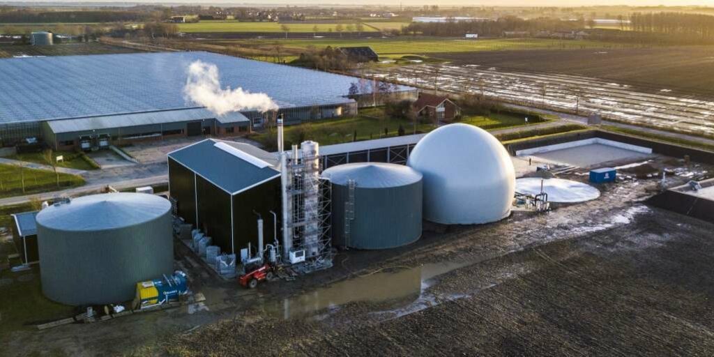 Biomassa bespaart Zeeuwse tuinders 12 miljoen kilo CO2