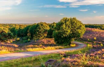 Adobestock veluwe gelderland