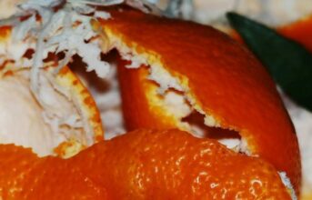 Orange peel 517567 1920