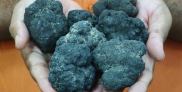 Getty Images 1722305287 3