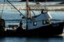 Visboot e1425460666567