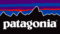Logo patagonia